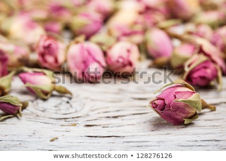 Dry Roses And Herbs Zdjęcia stock © grafvision