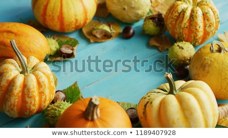 Foto stock: Yellow Pumpkins Laid With Chestnut