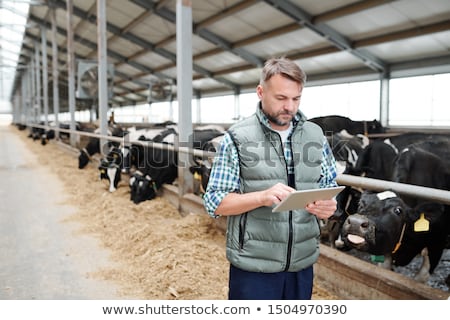 Stockfoto: Mature Male Worker Of Contemporary Animal Farm Using Digital Tablet