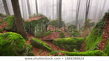 Stock photo: Misty Rocks