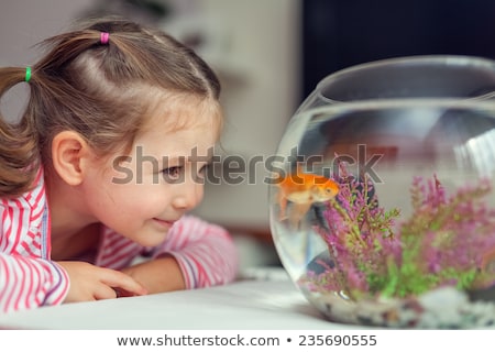 Foto stock: Cute Girls Looking At Fish Tank