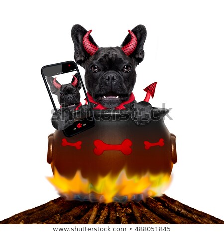 Stockfoto: Halloween Dog And Bonfire