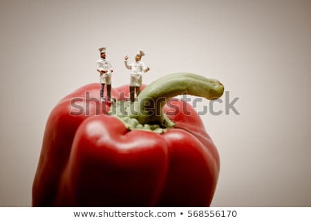 Stock photo: Chefs Talking Macro Photo
