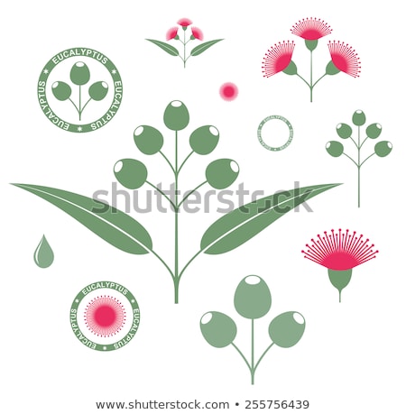 Stock photo: Silhouette Icon Blossoming Tree