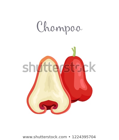 Foto stock: Champoo Exotic Juicy Fruit Vector Isolated Java Apple