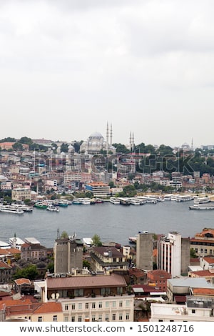 ストックフォト: Houses And Public Buildings Densely Cover An Area Of Istanbul T