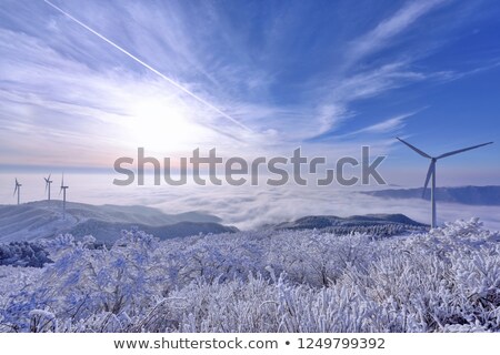 Stock fotó: Wind Turbines In Winter