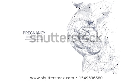 Foto stock: Human Pregnancy