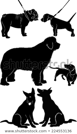 Stock photo: Vector Sketch Dog Newfoundland Hound Breed Sitting