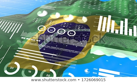 Financial Analysis With Graphs And Data In Brazil Сток-фото © Myvector