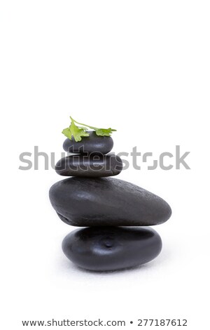 Stock foto: Tower Of Pebbles With Branch Of Herb