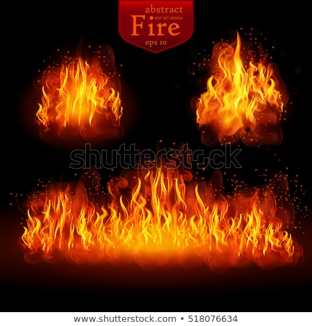 Stock fotó: Realistic Fire Flames Set Eps 10