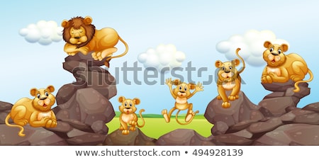 Stok fotoğraf: Lion Family In The Field