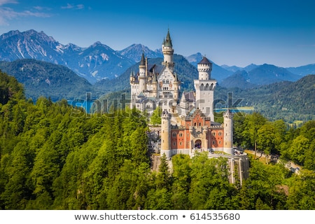 ストックフォト: Neuschwanstein Castle Bavarian Alps Germany