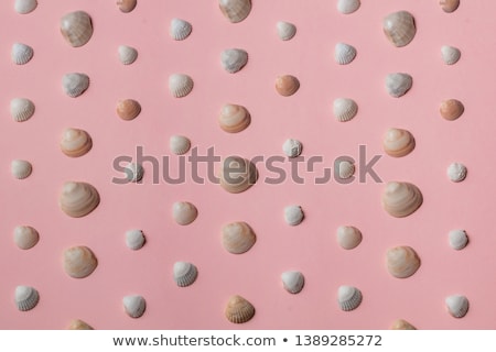 Foto stock: Top View Of Shells And Starfish Group On Black Background