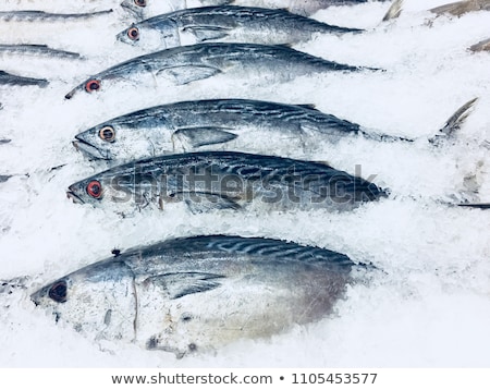 Stock fotó: Fresh Mediterranean Fish In Ice Containers At The Market