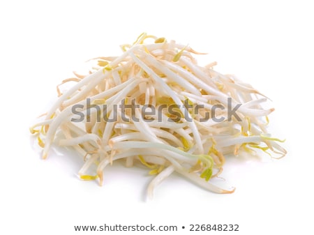 Foto stock: Bean Sprouts Isolated