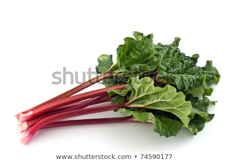 Foto stock: Bunch Of Fresh Rhubarb Isolated On White Background