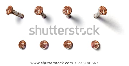 Rusty Nail Isolated On White Background Stock fotó © Zerbor