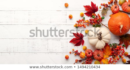 Foto stock: Autumn Pumpkin On A Rustic Wood Background