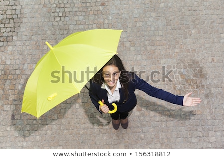 Zdjęcia stock: Business Woman Checking Weather