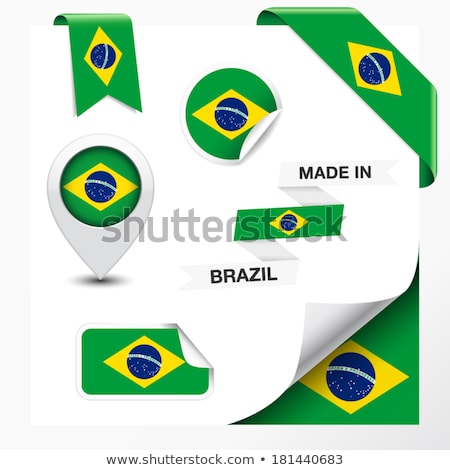 Zdjęcia stock: Brazil Flag Vector Illustration On A White Background