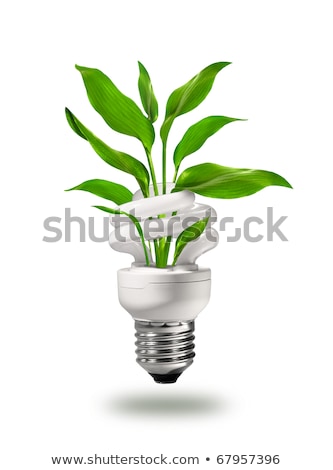 Energy Saving Eco Lamp With Green Values Concept Stock fotó © Anterovium