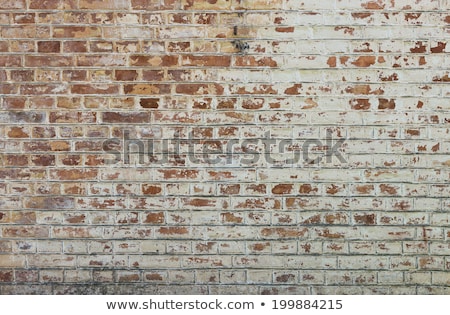 Stockfoto: Wall Of Aged Painted Brickwork