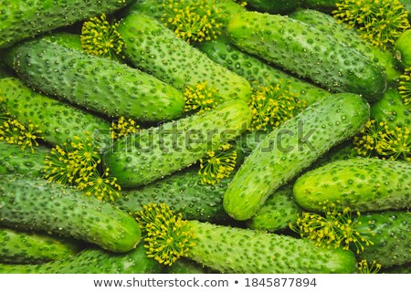 Stock foto: Cucumbers Ready To Be Pickled