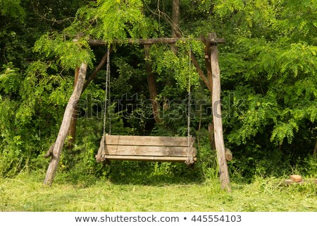 Stock photo: Home Playground Swing Set In Garden