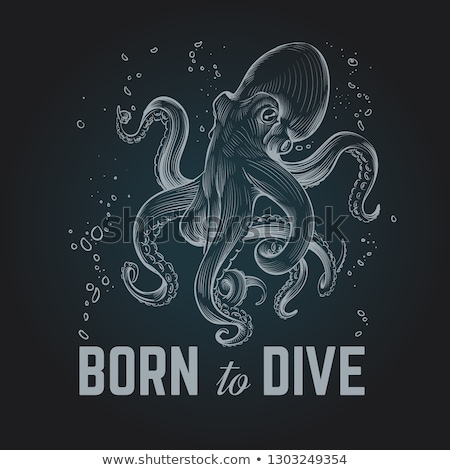 Foto d'archivio: Octopus Marine Creature Poster In Sketch Style