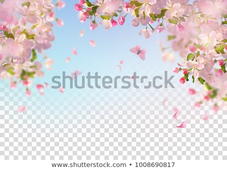 Apple Blossom Spring Tree Foto stock © kostins