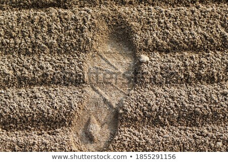 Foto stock: Close Up Of Brown Shoes On Rough Ground Background