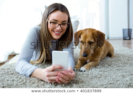 [[stock_photo]]: Dog Smartphone