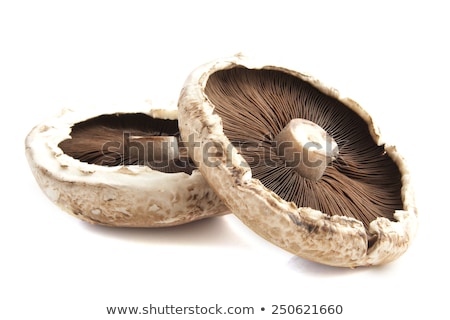 Stock photo: Portabella Mushrooms