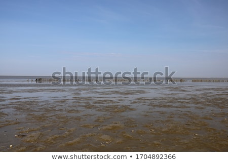 Foto stock: The Sea Shore By The Low Tide