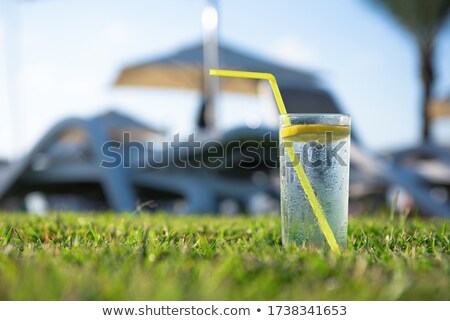 Сток-фото: Palm With Bright Orange Fruits