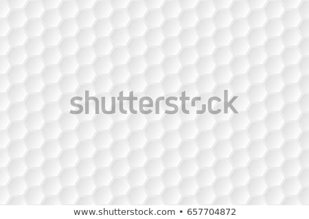 Stock fotó: Seamless Vector Background For Golf