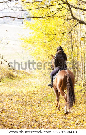 Stock fotó: Equestrian On Horseback In Autumnal Nature