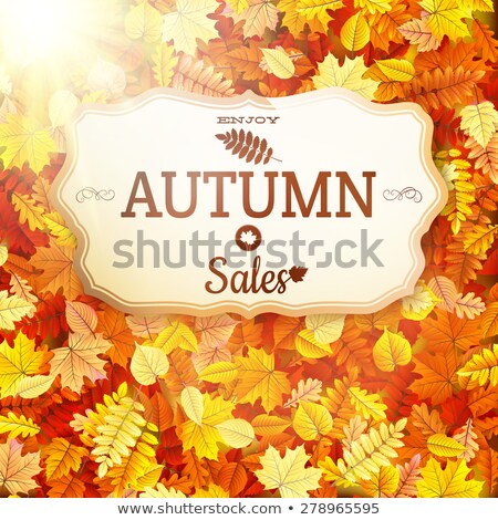 Stok fotoğraf: Autumn Sale Vntage Signboard Eps 10