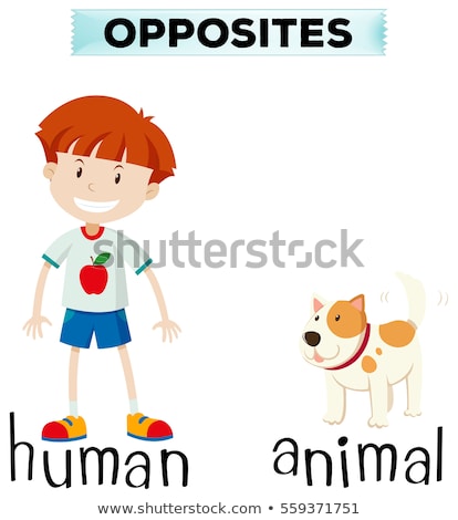 Zdjęcia stock: Opposite Wordcard For Human And Animal