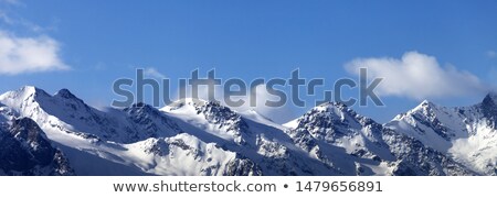 Skis In Snow On Top Of Mountain Сток-фото © Lizard