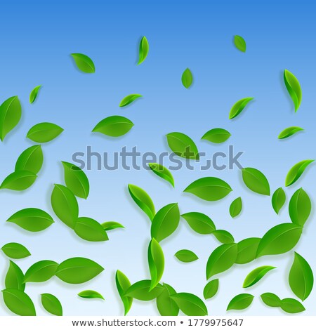 Foto stock: Symmetrical Pattern With Tea Leaves