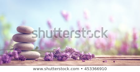 Сток-фото: Stones With Flower