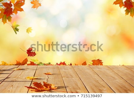 Stock fotó: Beautiful Autumn Background With Maple Leaves