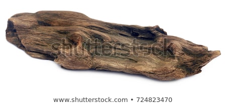 ストックフォト: Driftwood Over White Background