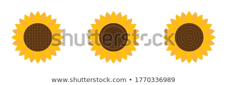 Stock foto: Flora Abstraction Flat Icon