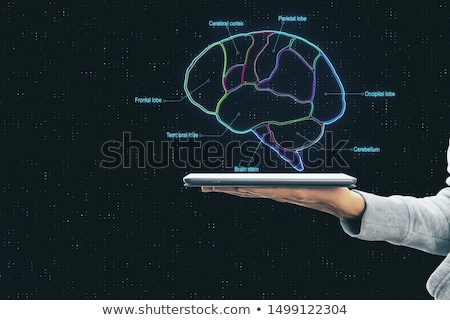 Zdjęcia stock: Diagnostics On Tablet With Brain Functionality Concept