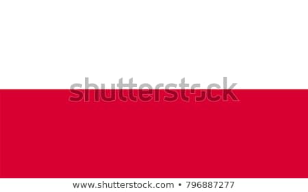 Сток-фото: Painted Poland Flag Waving In Wind