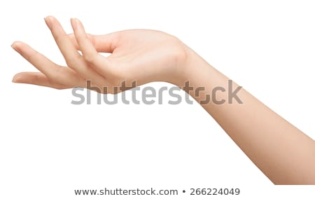Stock photo: Beautiful Woman Hands Isolated On A White Background
